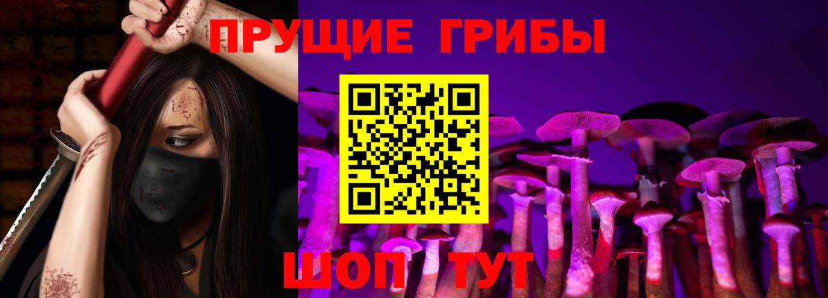 Биробиджан  Галлюциногенные грибы Psilocybe  Вход с VPN 
